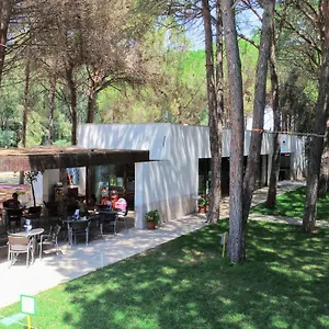 Spinnaker Oristano